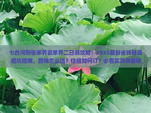 七台河到张家界袁家界二日游
