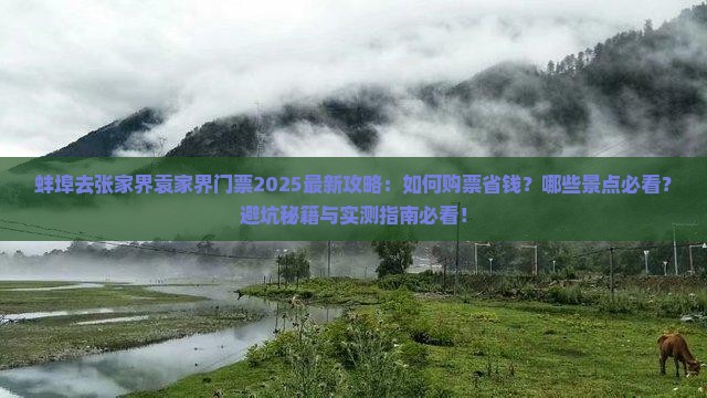 蚌埠去张家界袁家界门票