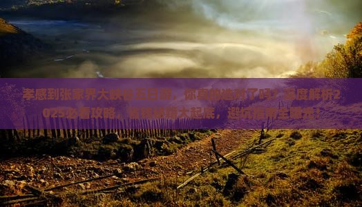 孝感到张家界大峡谷五日游