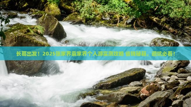 长葛到张家界袁家界个人游