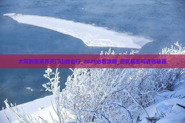 大同到张家界天门山自由行