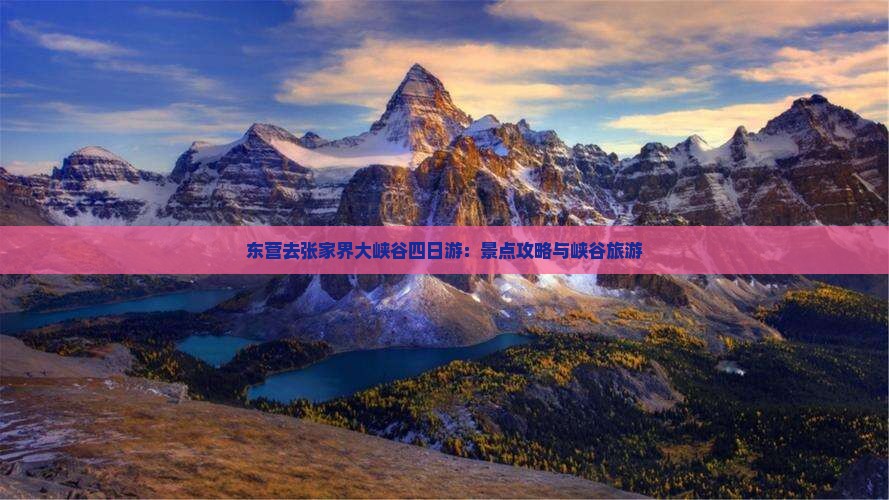 东营去张家界大峡谷四日游