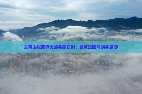 东营去张家界大峡谷四日游
