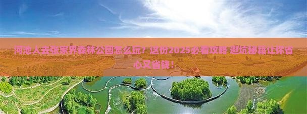 河池去张家界森林公园团体旅游