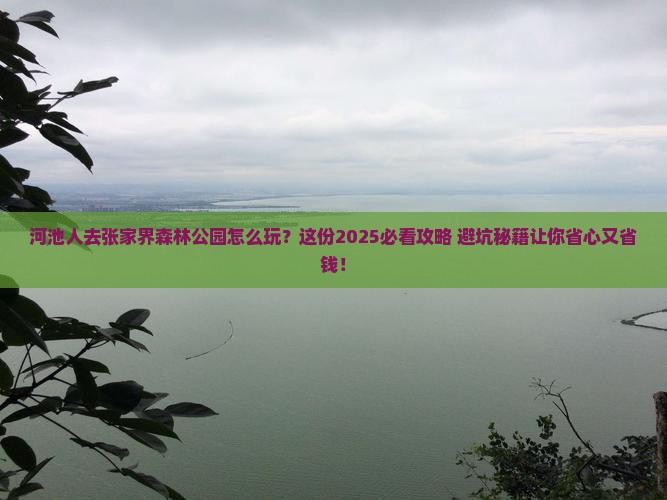 河池去张家界森林公园团体旅游
