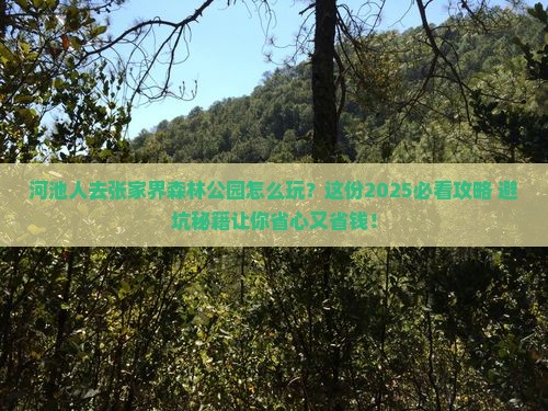 河池去张家界森林公园团体旅游