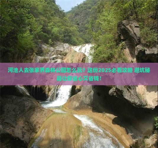 河池去张家界森林公园团体旅游
