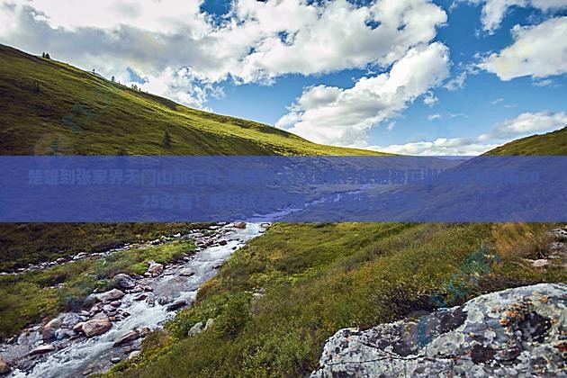 楚雄到张家界天门山旅行社