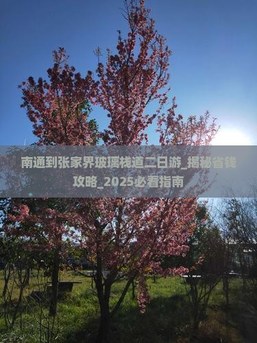 南通到张家界玻璃栈道二日游