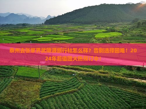 泰州去张家界武陵源旅行社