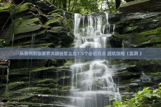 泉州去张家界大峡谷景点
