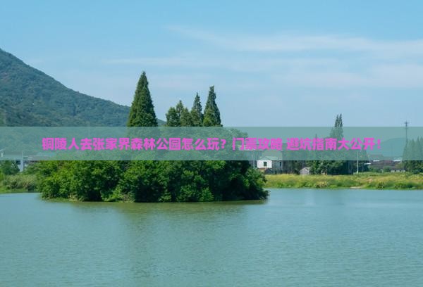 铜陵去张家界森林公园门票