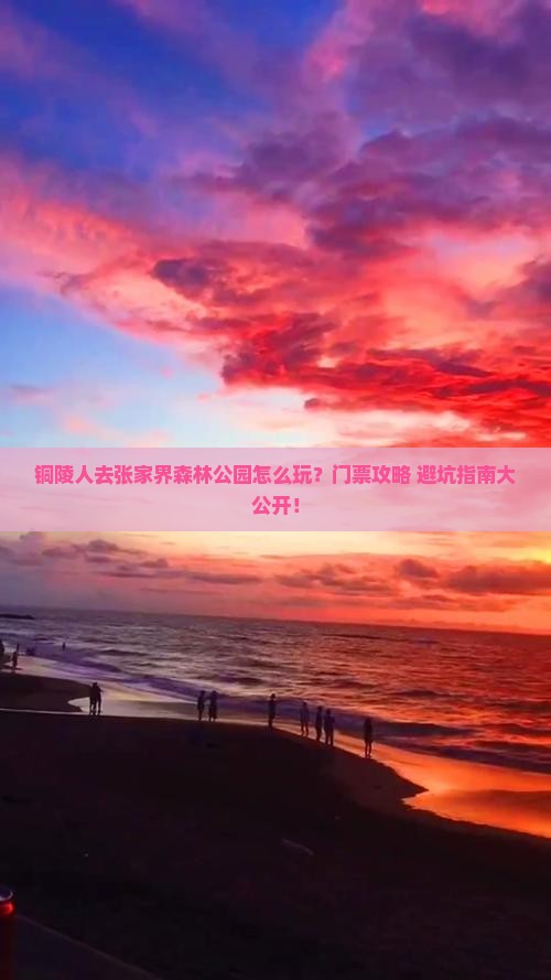 铜陵去张家界森林公园门票
