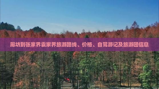 廊坊到张家界袁家界旅游