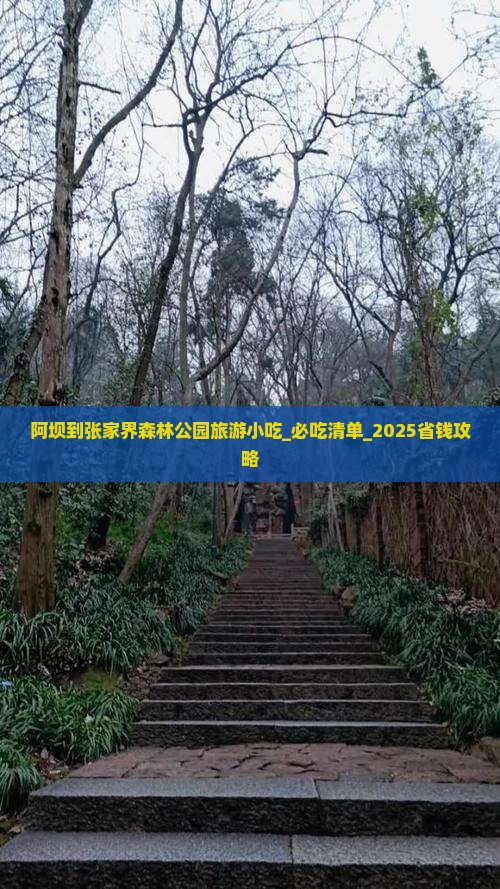 阿坝到张家界森林公园旅游小吃