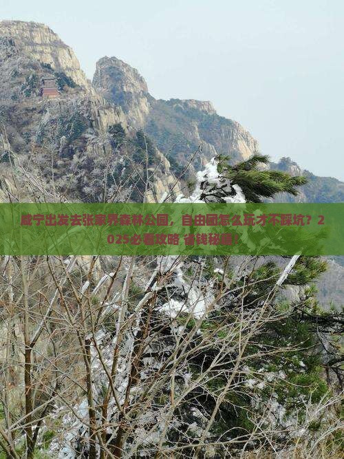 咸宁到张家界森林公园自由团