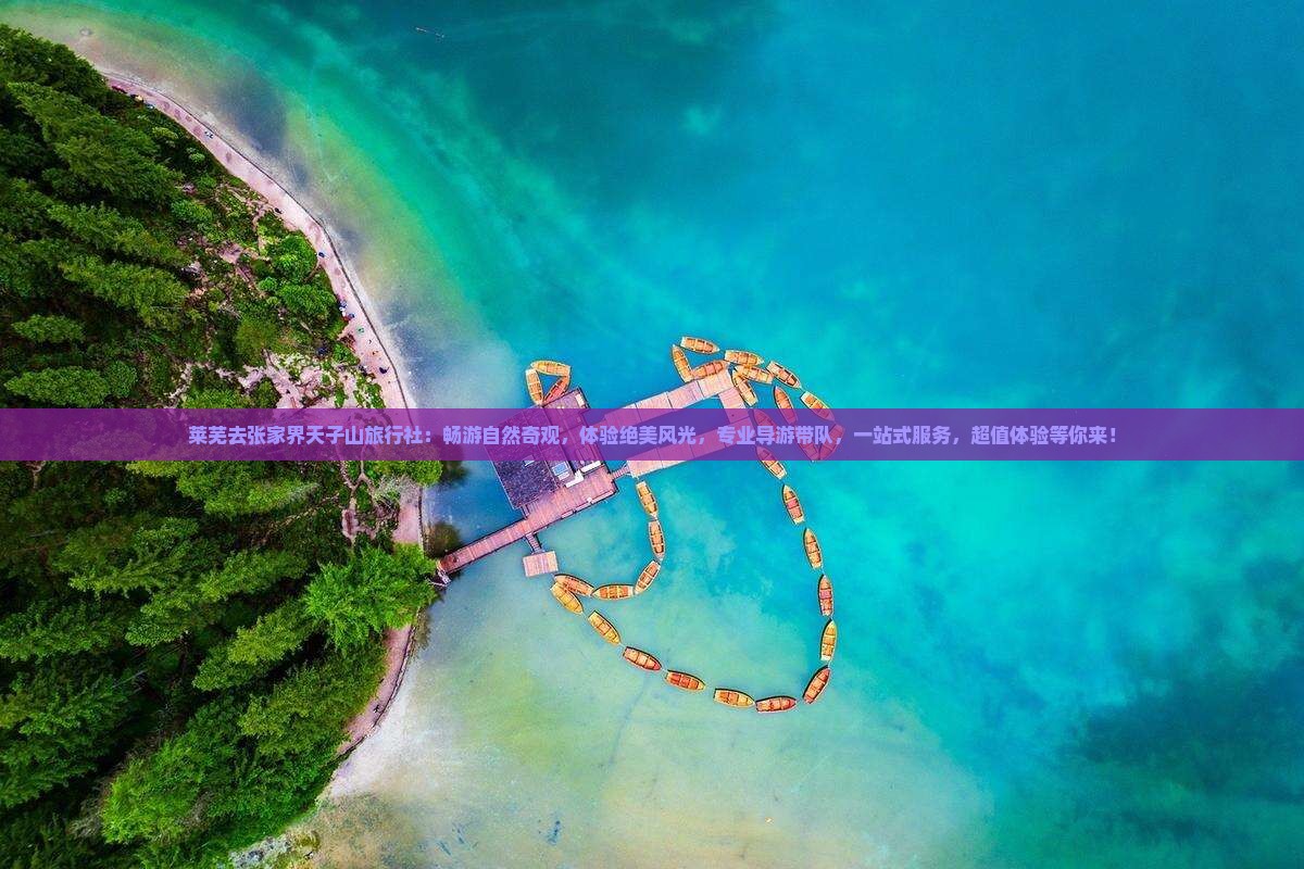 莱芜去张家界天子山旅行社