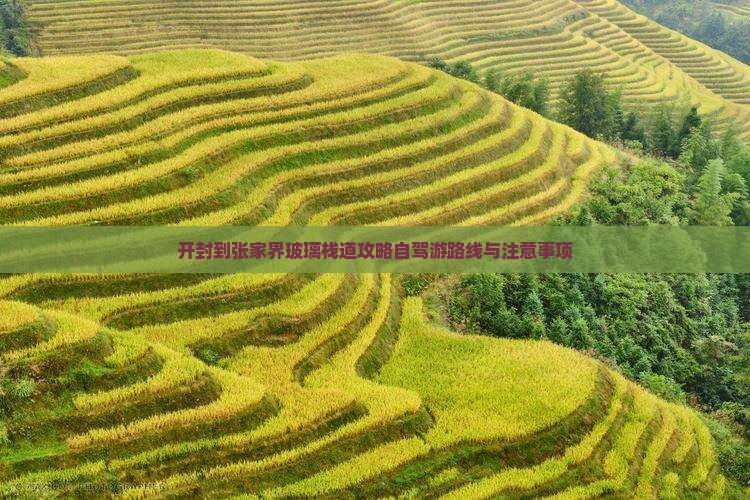 开封到张家界玻璃栈道攻略