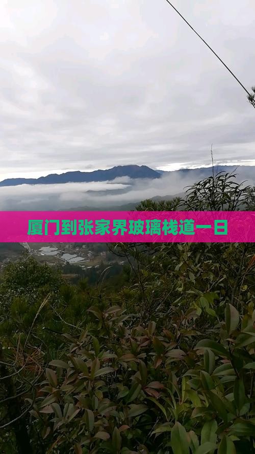 厦门到张家界玻璃栈道一日