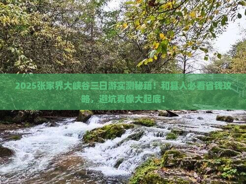 和县去张家界大峡谷三日游
