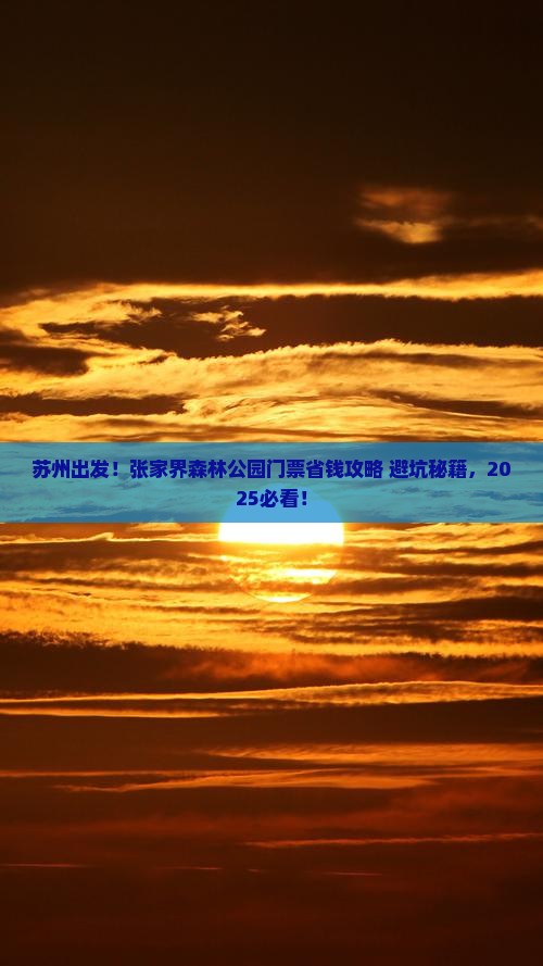 苏州去张家界森林公园门票