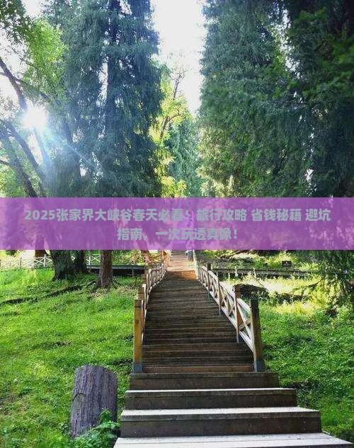 春天去张家界大峡谷团体旅游