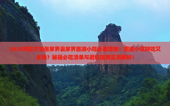 阿拉尔去张家界袁家界旅游小吃
