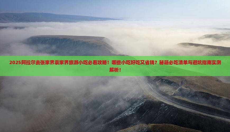 阿拉尔去张家界袁家界旅游小吃