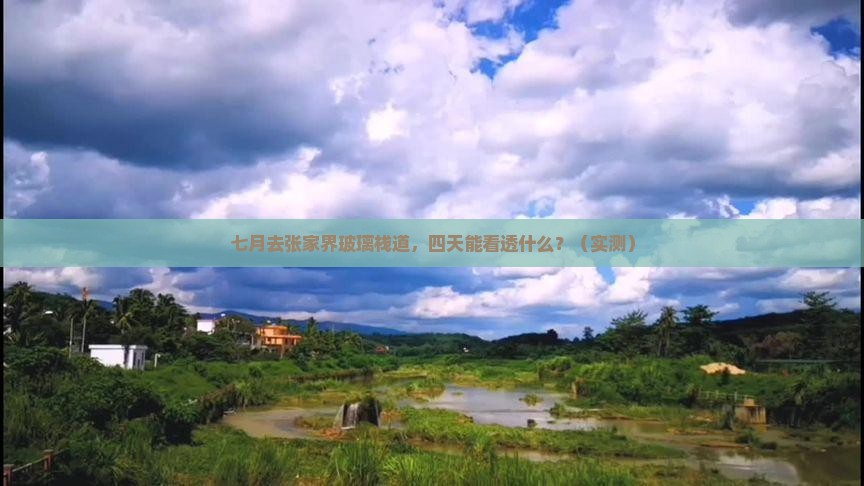 七月到张家界玻璃栈道四日游