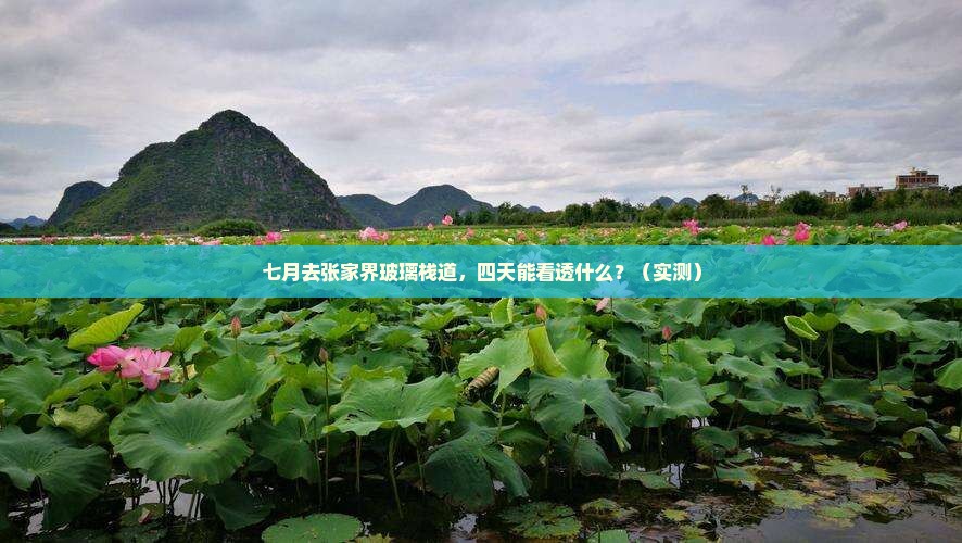 七月到张家界玻璃栈道四日游