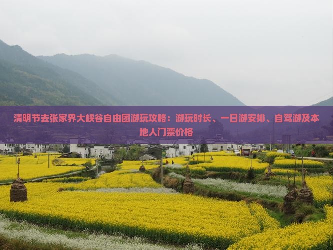 清明节去张家界大峡谷自由团