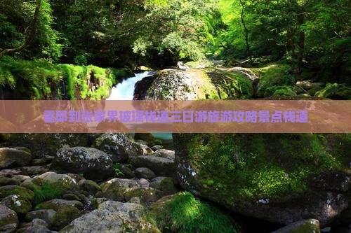 霍邱到张家界玻璃栈道三日游