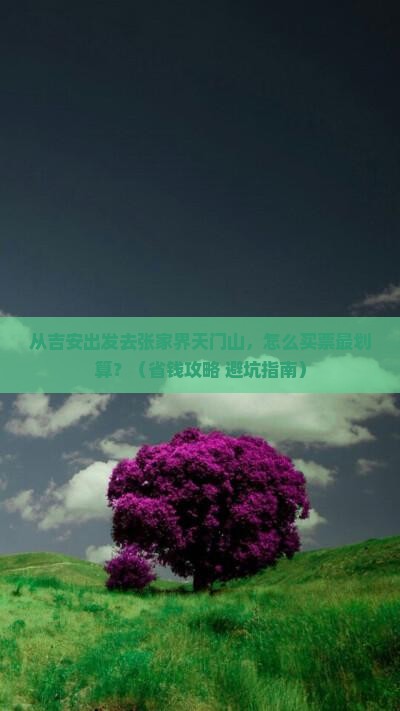 吉安去张家界天门山门票
