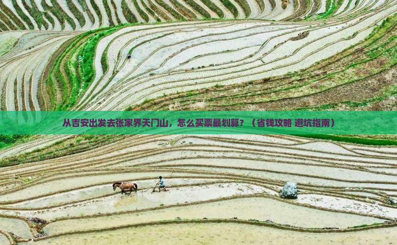 吉安去张家界天门山门票