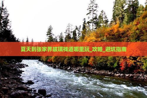 夏天到张家界玻璃栈道哪里玩
