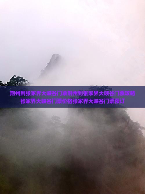 荆州到张家界大峡谷门票