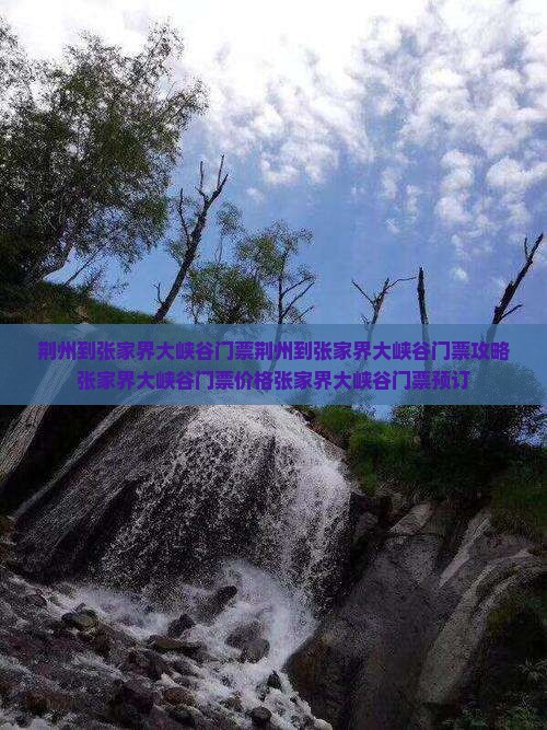 荆州到张家界大峡谷门票