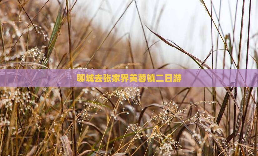 聊城去张家界芙蓉镇二日游