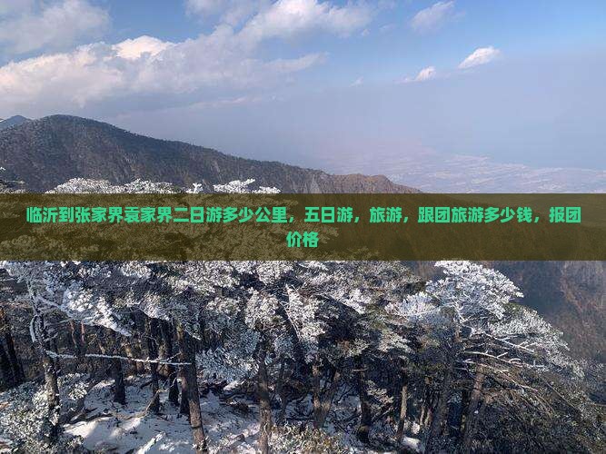 临沂到张家界袁家界二日游