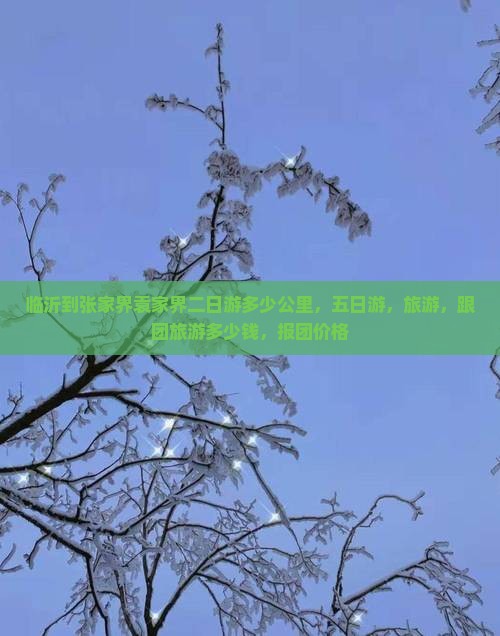 临沂到张家界袁家界二日游