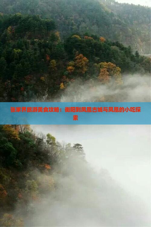 衡阳到张家界凤凰古城旅游小吃