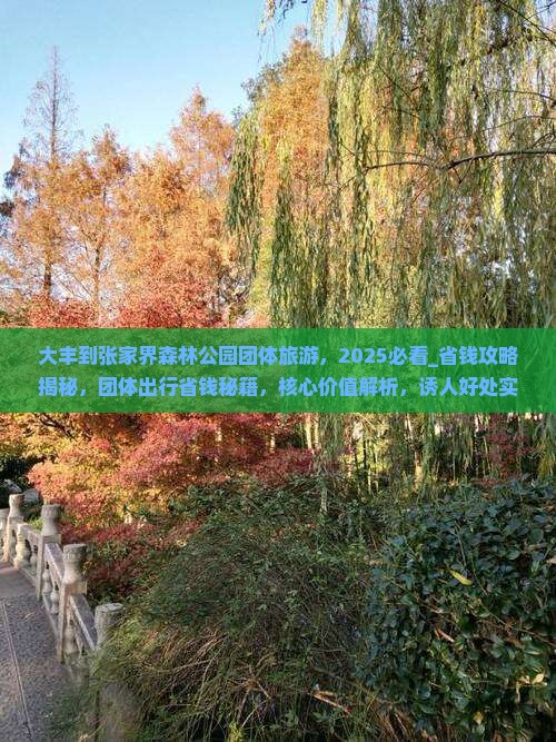 大丰到张家界森林公园团体旅游