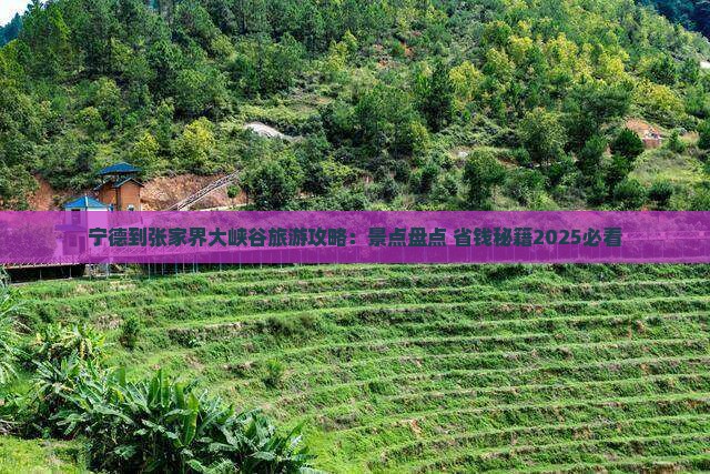 宁德到张家界大峡谷哪里玩 宁德到张家界大峡谷哪里玩