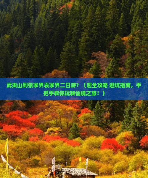 武夷山到张家界袁家界二日游