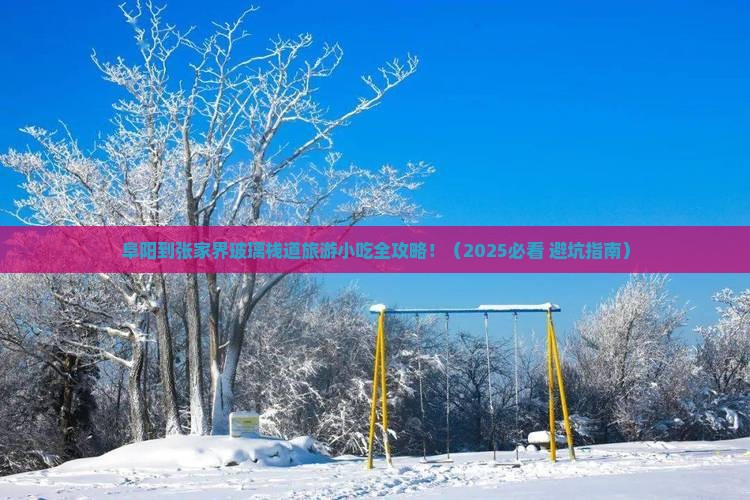 阜阳到张家界玻璃栈道旅游小吃