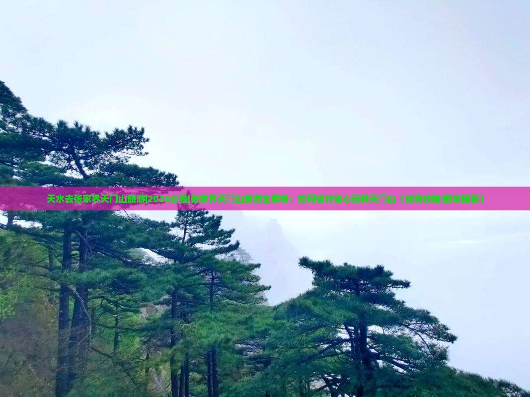 天水去张家界天门山旅游