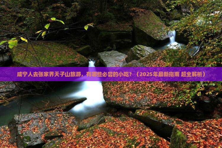咸宁去张家界天子山旅游小吃