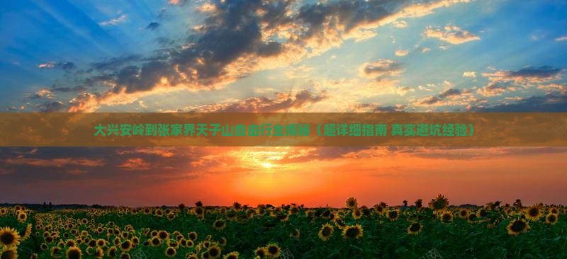大兴安岭到张家界天子山自由团