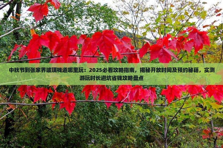 中秋节到张家界玻璃栈道哪里玩