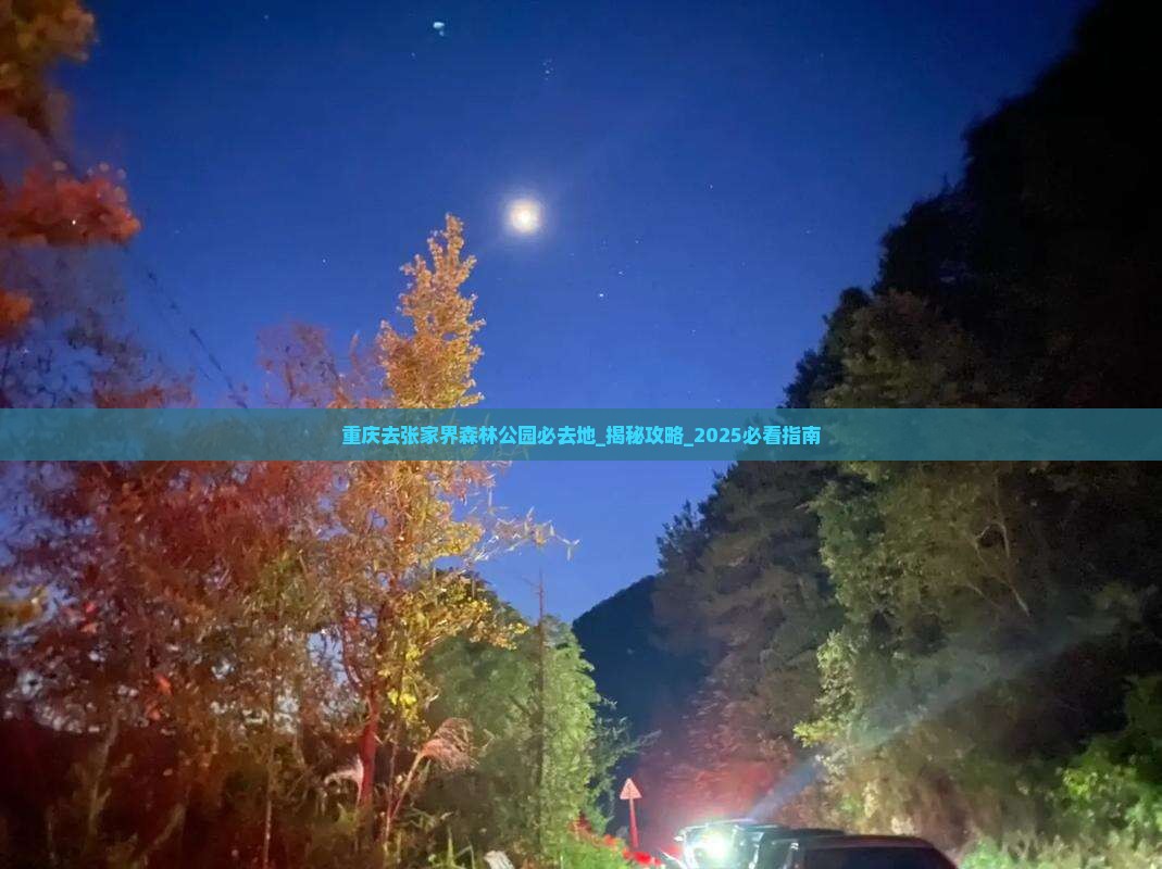 重庆去张家界森林公园必去地